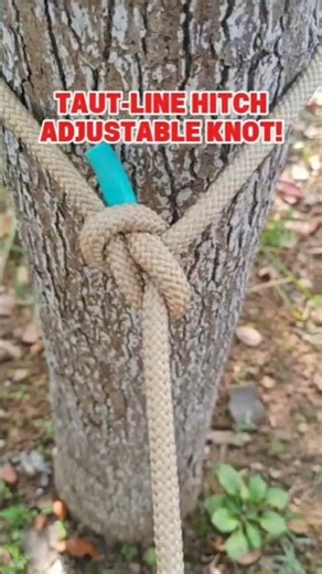 Taut-Line Hitch – Adjustable Sliding Knot for Camping #shorts #rope #bushcraft
