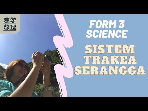 KSSM Form 3 Sains Bab 2 {Sistem Trakea Serangga} 中文讲解