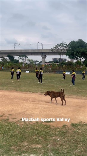 #BCB #bcbalife #bcbcricket #BCBAExamPrep #BCBAExamPrep #bcbusiness #cricketfans #cricketlovers #cricketer | Mazbah sports Valley