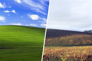 Windows XP — 20 лет. И она все еще кому-то нужна - Газета.Ru