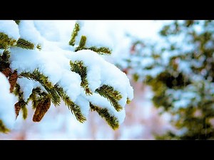 Calming Piano Music with Soft Falling Snow Sounds: Sleep Music, Beautiful Music, Stress Relief