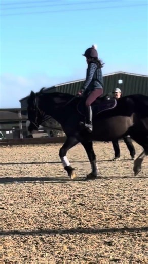 eq is eqing #fypシ #helpmemakethismakesense #horse