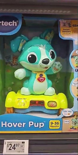 Hover pup # vtech #