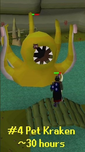 Top 5 Fastest Pets In OSRS