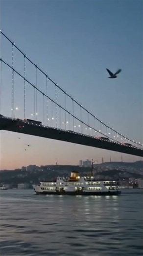 Bogaz Köprüsü Istanbul 🐠
