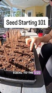If you’re new to gardening, seed starting can feel intimidating. But it really comes down to three things: depth, light, and water. I’ll show you the basics in this video so you can get your fall garden started with confidence. Florida has its challenges, but with the right timing, you can grow more than you ever imagined. #SeedStarting #FloridaGarden #FallGarden #BackyardGarden #GrowYourOwnFood | Homegrown Florida