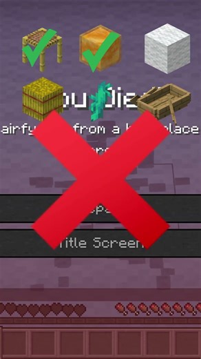 Minecraft Fall Damage Test 😂 #minecraft #minecraftshorts #gaming