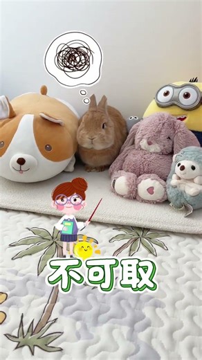 How to Handle Rabbits Easily - A Must-Watch Guide