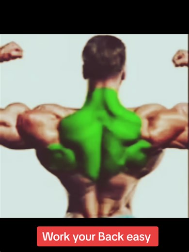 Work your Back easy #back #backpack #backworkout #backexercice #backexercices #backexercicesformen #backexercicesdumbellsonly #backexercicescable #backexercicesatthegym #backexercicesforwomen #backexercicesformenathome #backexercicesathomenoequipment #backexercicesforbeginners #backexercicesforwomenwithweightsathome #backexercicesgymequipment #backexerciceswithdumbellathome #backworkout #backworkoutforwomen #backworkouts #backworkoutsforgirls #backfitness #fitnessbackexercice #gymback #gymbackpa