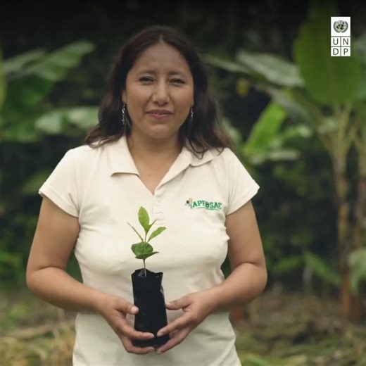 Every cup of coffee has a story ☕ . Ours tells a tale of sustainability from bean to brew proving that you can produce world-class coffee while conserving the forest. This #InternationalCoffeeDay, see how our partnership with Lavazza is making it happen: https://go.undp.org/oqn | United Nations Development Programme - UNDP