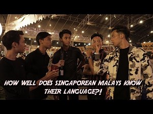 How Well Do Singaporean Malays Know Their Language?