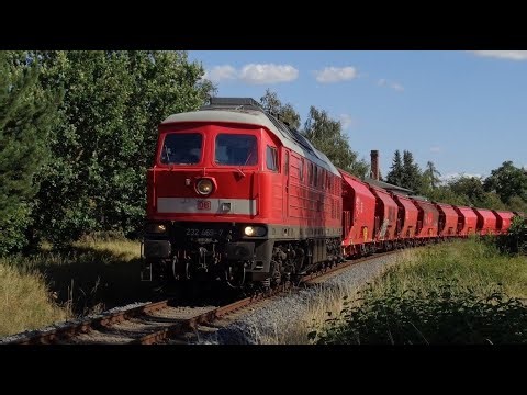 Umleiter- und Bauzüge während der Streckensperrung Halle - Magdeburg im August 2023