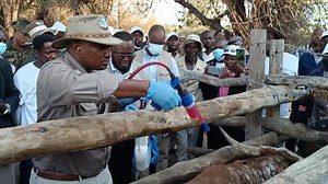 Agriculture Minister Fidelis Molao this afternoon launching Topline Dip developed by Botswana Vaccine Institute to fight bont ticks commonly known as ' bemobile ' that is ravaging cattle in Ngamiland. The launch was done at Boro Crush II . | The Okavango Express