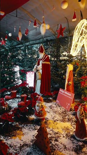 Christmas mood in Vienna