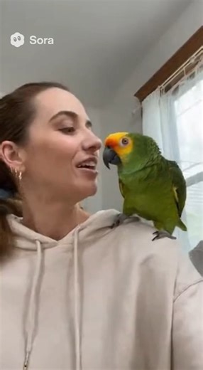 58K views · 2K reactions | Cute Parrot and Woman Share the Sweetest Bond 列 #CuteAnimals #Parrot | Animal Stories | Facebook