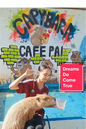 Kaelyn had a dream experience with these exotic animals here in Thailand. She is getting a pet rat 🐀 when we get back to South Africa so meeting the worlds largest rodents was def something 😍#capybara #petrat #exoticanimals #thailand