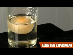 Nerdfighteria Wiki - The Alien Egg Experiment