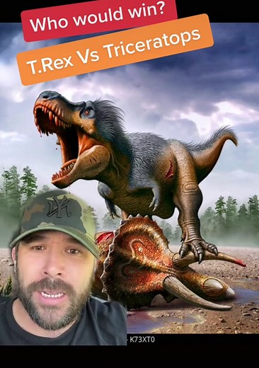 T-Rex vs Triceratops: Who Would Win in a Fight?