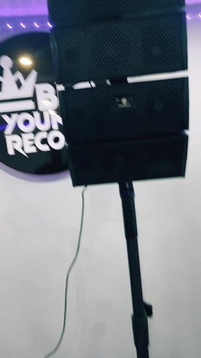 Sistema Line Array de Sonido Profesional a Estrenar