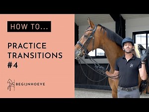 How to prepare your horse for transitions? | Begijnhoeve | How to #4