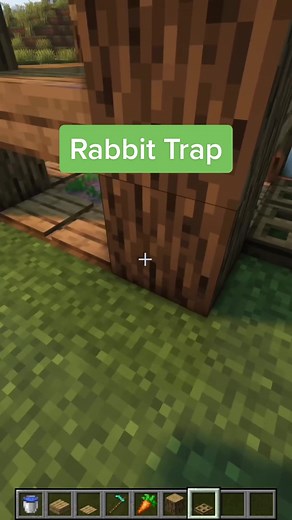 How to Make a Rabbit Trap in Minecraft Tutorial