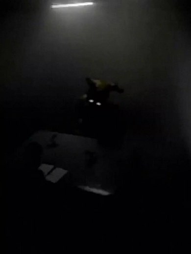 #springtrap #springtrapcosplay #springtrapfnaf #springtrapedit #animatronic #animatronics #sisterlocation #fnafsisterlocation #fnaf5sisterlocation #fnaf5 #fnafedit #fnafcosplay #fnafseguritybreach #fnaf #fivenightsatfreddy #fivenightsatfreddys #springtrapedits