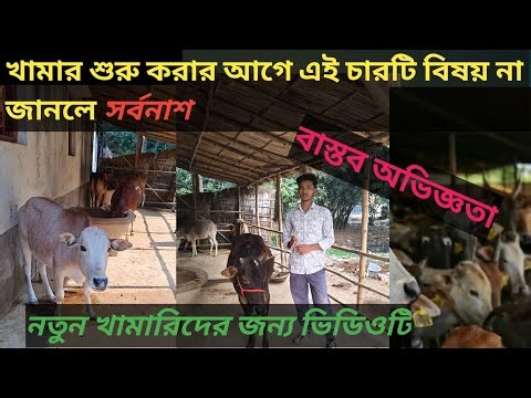 খামার শুরু করার আগে এই ৪টি বিষয় না জানলে সর্বনাশ! 🐄