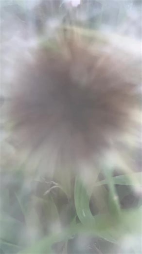 rougeypooh (@rougeypooh)’s videos with Perf - Tik Tok,Baby Ariel