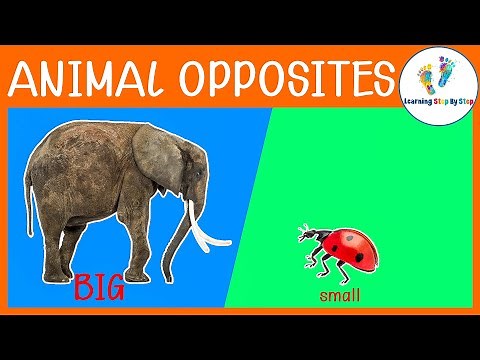Learn OPPOSITES with ANIMALS For Kids