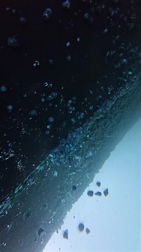 Cleaning Barnacles Off a Ship's Propeller