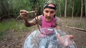 The big day the giant lizards finally go outside