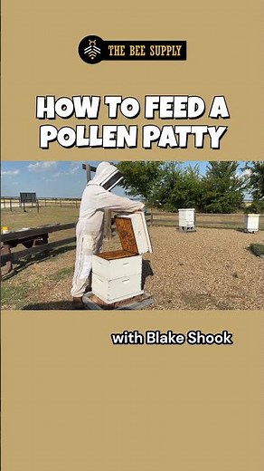BEEKEEPING in a minute: How to Feed a Pollen Patty