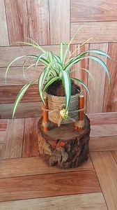 8.1K views · 67 reactions | How To Make DIY Planter from old Plastic Container, Jute rope and sticks . Simple And Easy Upcycling Idea  | Flower lovers | Facebook