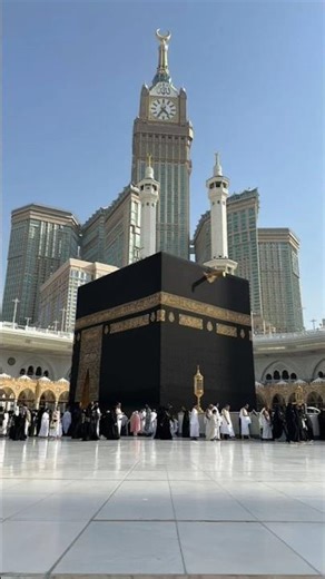 New Cool Tool! ❤️🕋🥹💜 New Viral Gadgets,SmartKitchen Appliances, Tools,Utensils,Home Cleanin #shorts​