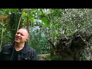 Milion białych róż Cover (PL).Миллион алых роз(RU).Dāvāja Māriņa(LV).Un million de roses rouges FR