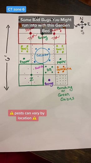 Identifying Garden Pests: The Plan Explained