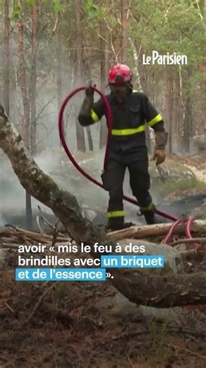 Fontainebleau : deux suspects dont un pompier volontaire ont admis leur implication