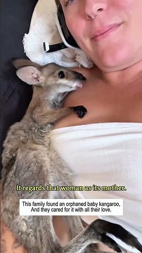 Happy kangaroo 🦘 ❤️#wildliferescue