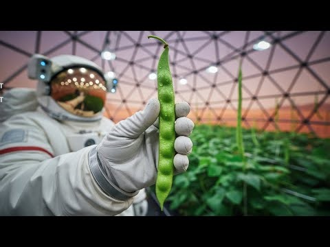 How Astronauts Grow Yardlong Beans on Mars Greenhouse Farming from Seed to Harvest (NASA Style)