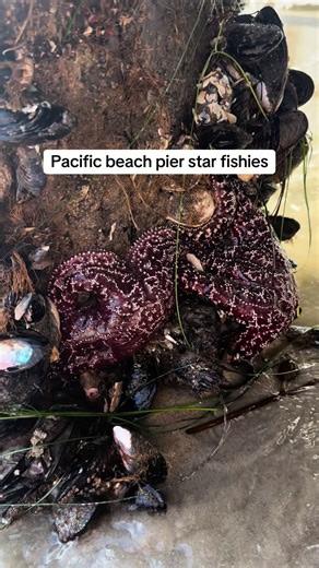 ItsEmilyElizabeth (@itsemilyelizabeth82)’s videos with original sound - Alex Ankrom