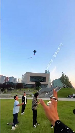 Watch These Sugar Gliders Fly! Flight Practice Full of Cuteness Overload! #sugerglider