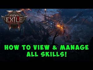 How to View and Manage All Skills in Path of Exile 2 - Complete Guide