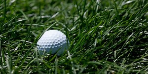 A fun discovery at Bananas Fun Park