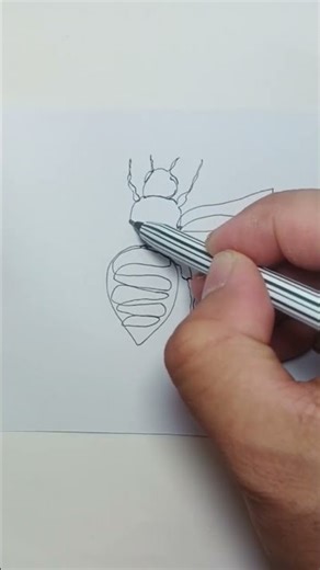 ONE LINE ART DRAWING TURTLE #shorts #art #drawing #shortvideo #viral #foryou #funny #trending #asmr