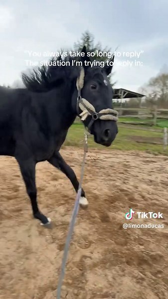 Hand Walking a 3-Year-Old After Surgery: A Heartfelt Moment