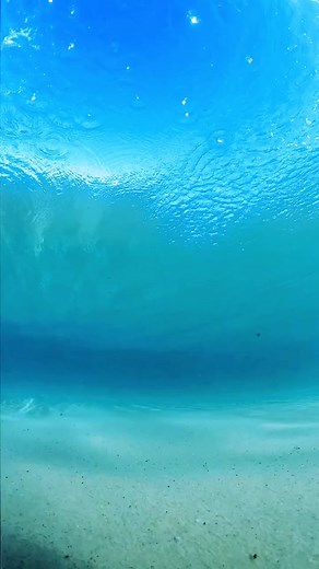 Exploring the Amazing Underwater World with GoPro Hero 7 Black