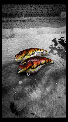 Active Catch | Bass Fishing | Tackle Gear on Instagram: "Another NEW Red Craw pattern coming in hot for this coming spring! #bassfishing #largemouthbass #fishinglife #catchandrelease #largemouth @bassfisherfl @falconer2407 @dwalkerfishing @chasespammzzzz14"