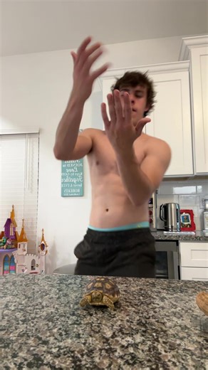 Turtle #turtle 🐢 | turtles