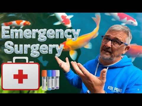 KOI POND**EMERGENCY KOI SURGERY!🐟 Saving OJ + My Filter Tells Me When It Needs Cleaning..😮😉