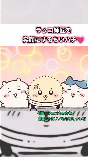(Chiikawa) Rakko-shisho is so cute🥹#chiikawa#chiikawa#anime